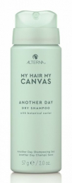 My Hair My Canvas Another Day Dry Shampoo MINI